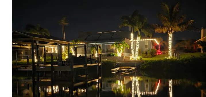 Waterfront dock and palm trees wrapped in warm white Christmas lights