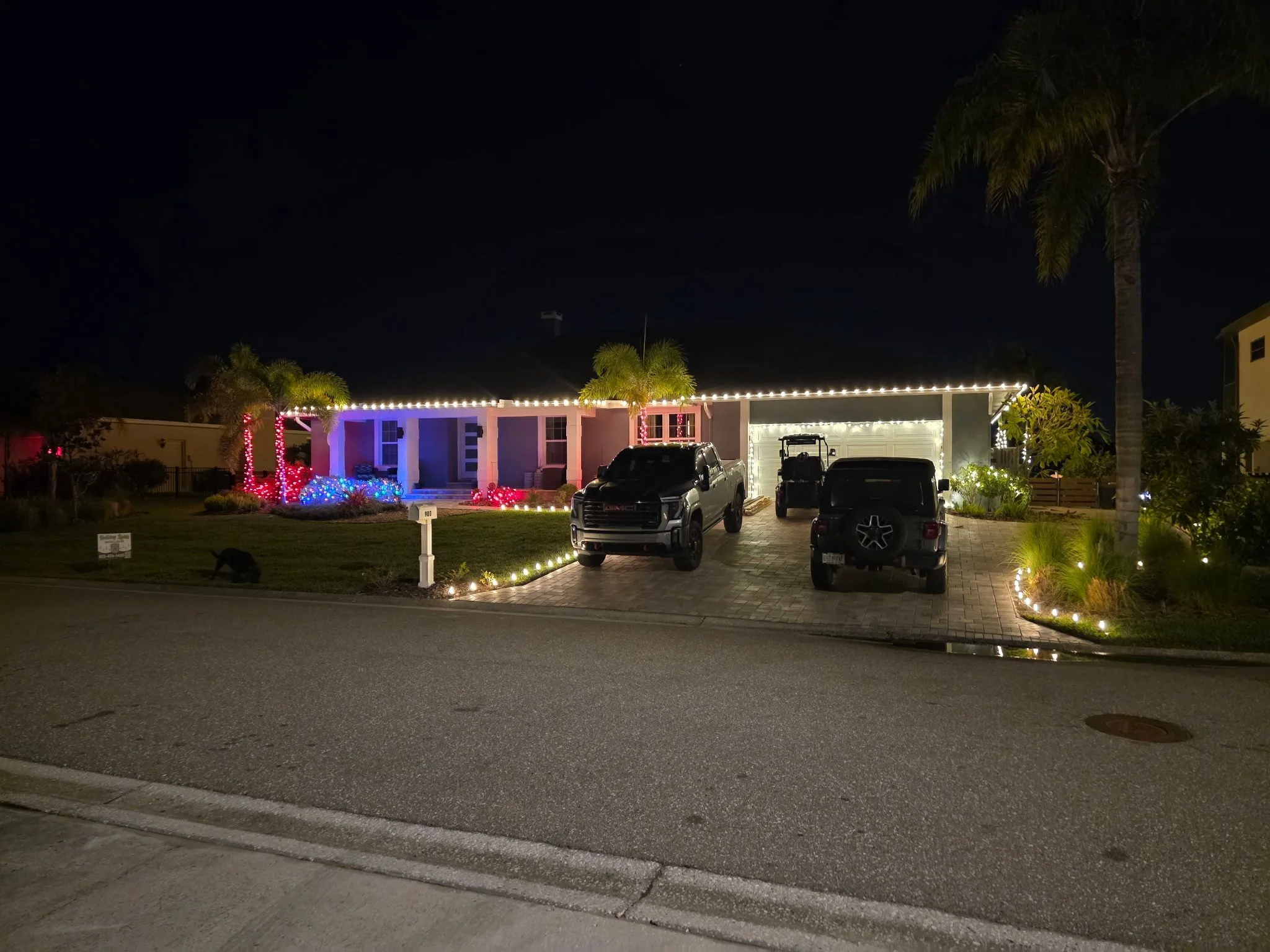 Ranch home in Apollo Beach, FL with red, white, and blue Christmas lighting and palm trees